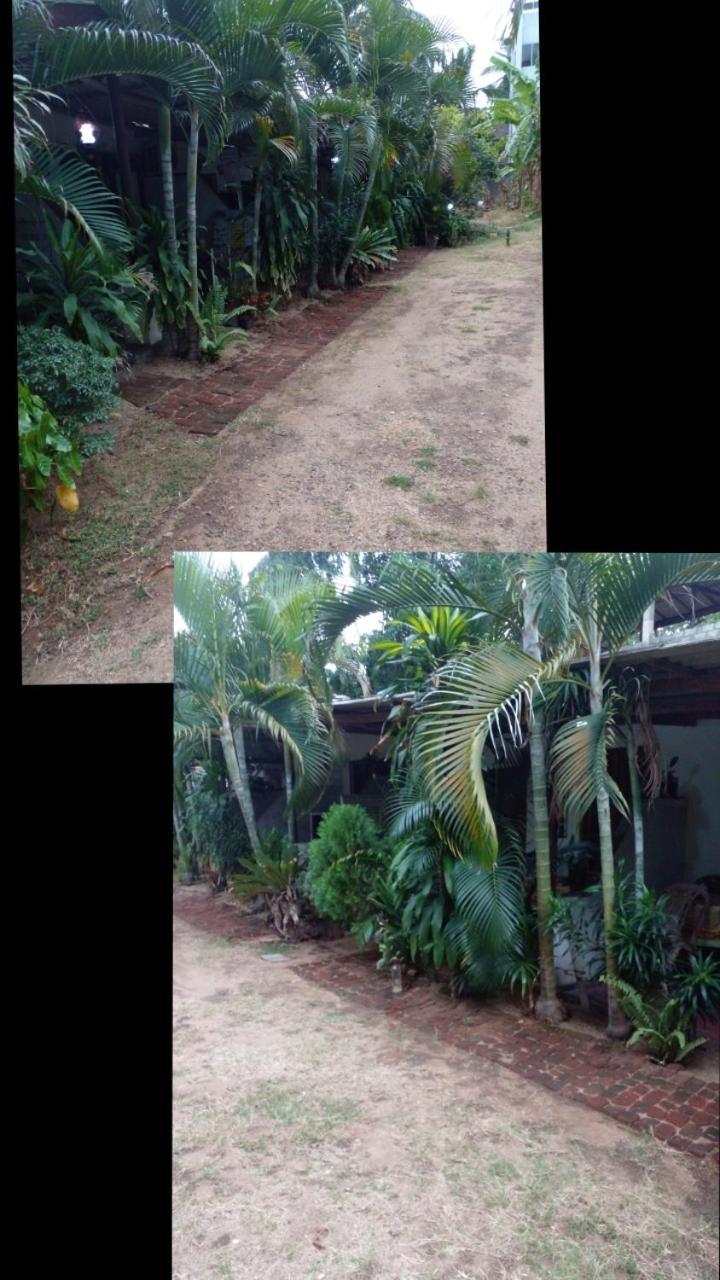 Lotus Inn Tourist Resort Dambulla Exterior photo