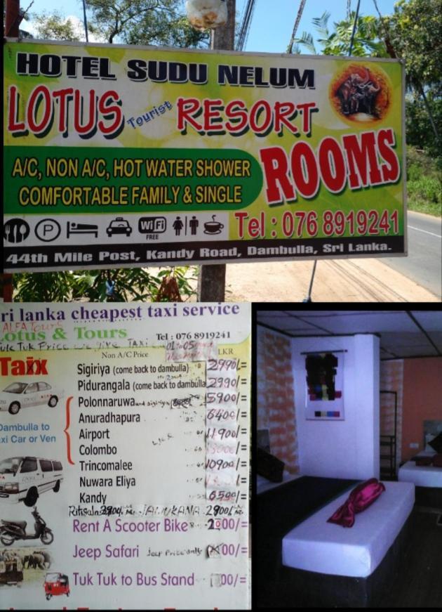 Lotus Inn Tourist Resort Dambulla Exterior photo