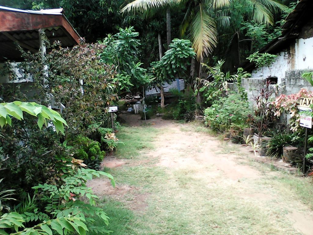 Lotus Inn Tourist Resort Dambulla Exterior photo
