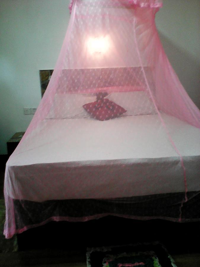 Lotus Inn Tourist Resort Dambulla Exterior photo