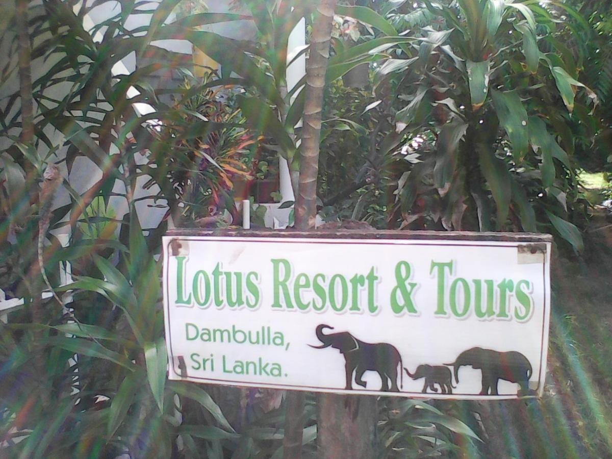 Lotus Inn Tourist Resort Dambulla Exterior photo