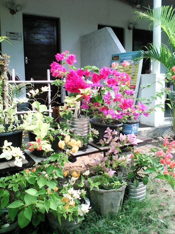 Lotus Inn Tourist Resort Dambulla Exterior photo