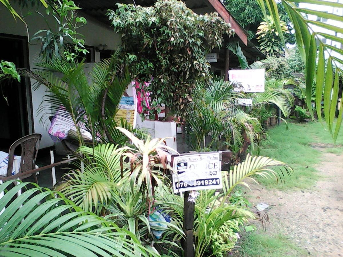 Lotus Inn Tourist Resort Dambulla Exterior photo