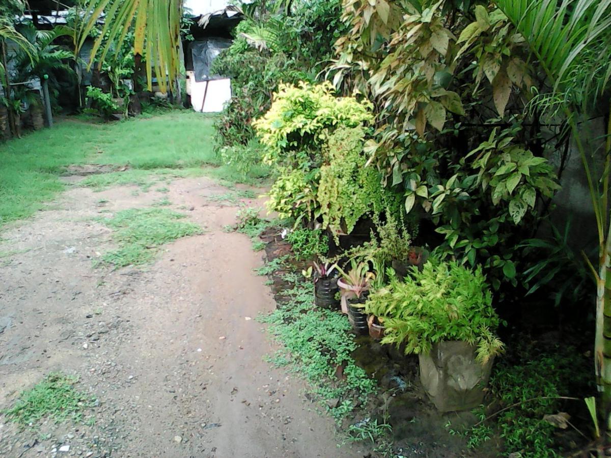 Lotus Inn Tourist Resort Dambulla Exterior photo
